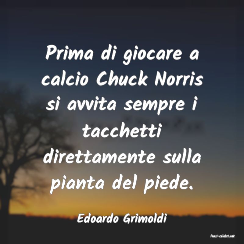 frasi di Edoardo Grimoldi