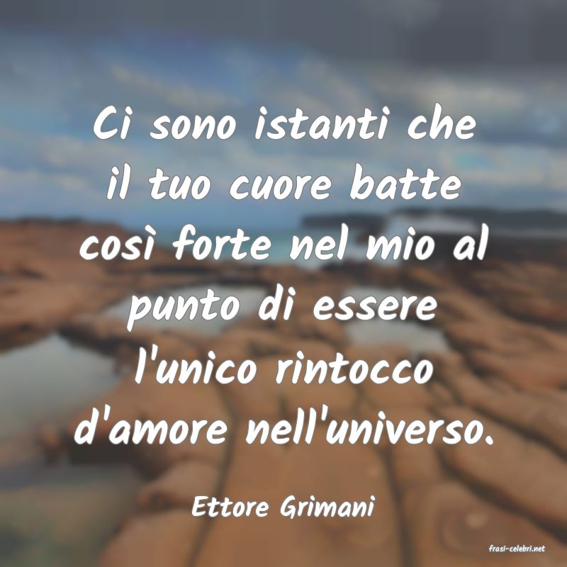 frasi di Ettore Grimani