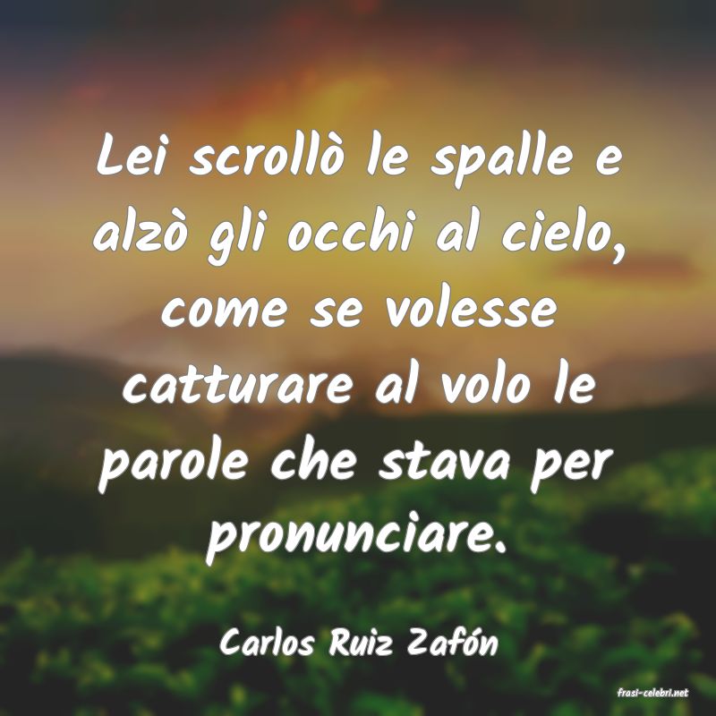 frasi di Carlos Ruiz Zafn