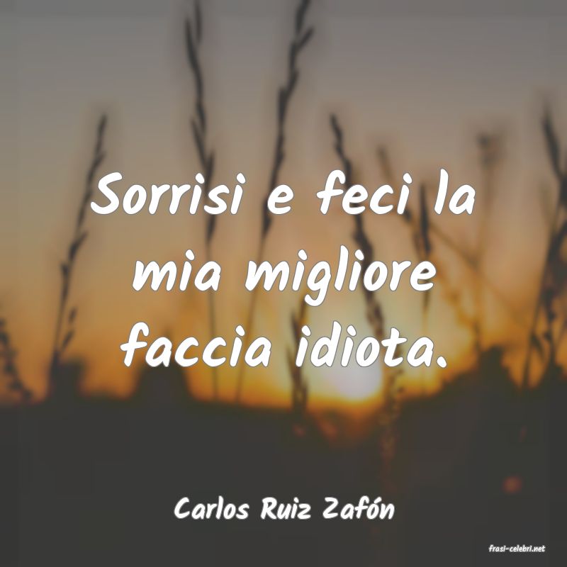 frasi di Carlos Ruiz Zafn