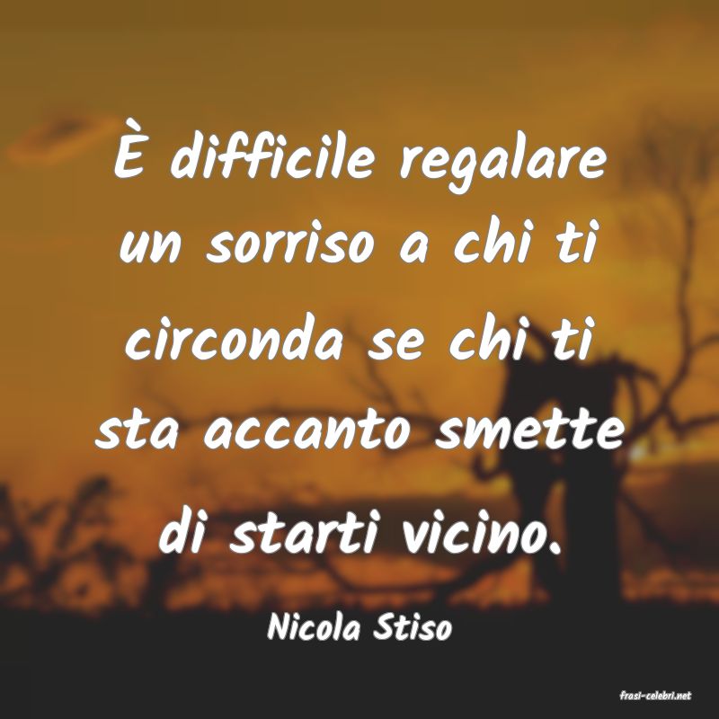 frasi di  Nicola Stiso
