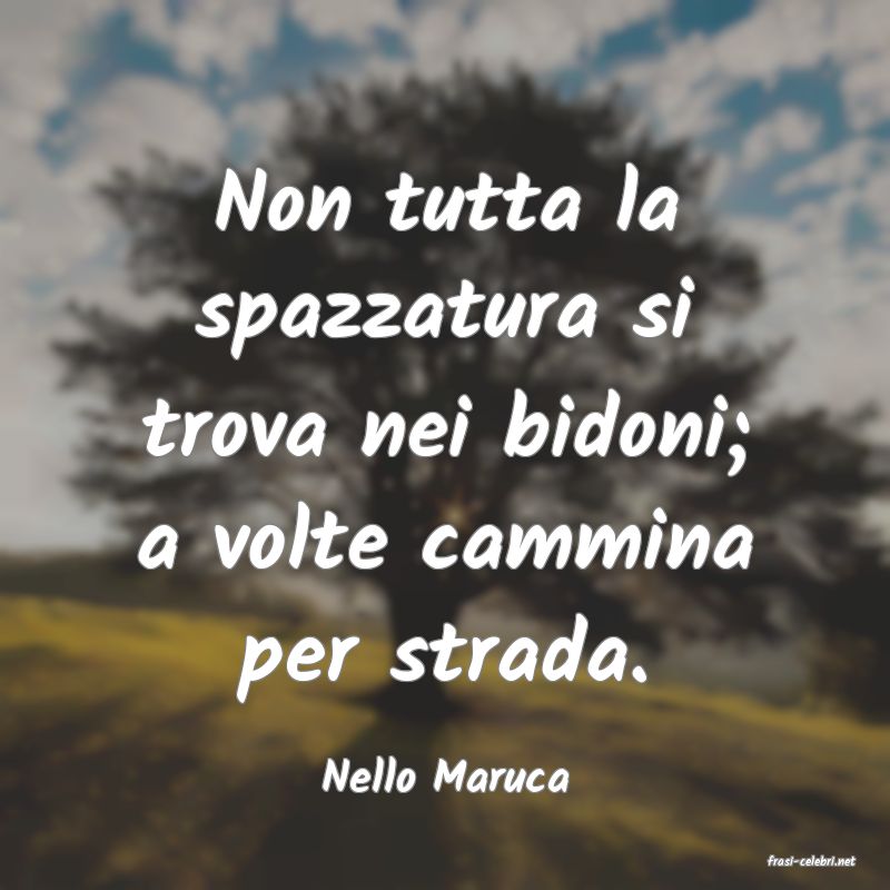 frasi di  Nello Maruca
