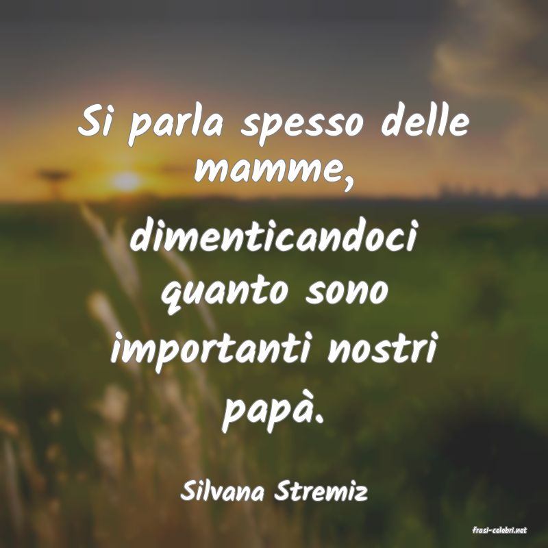 frasi di Silvana Stremiz