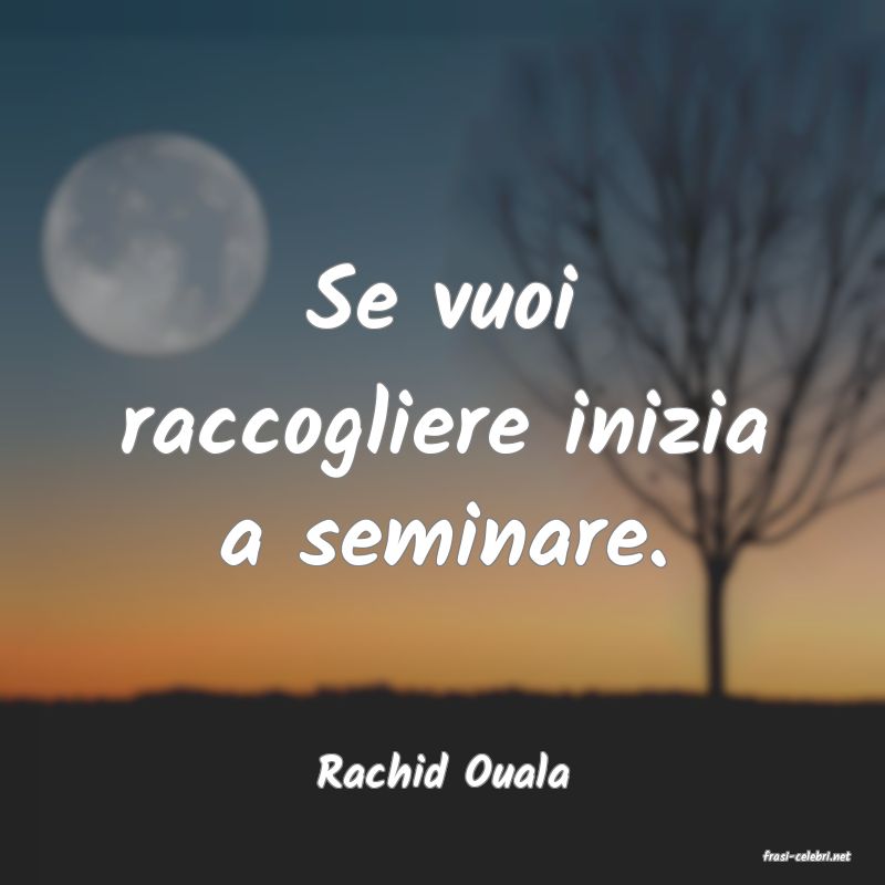 frasi di  Rachid Ouala
