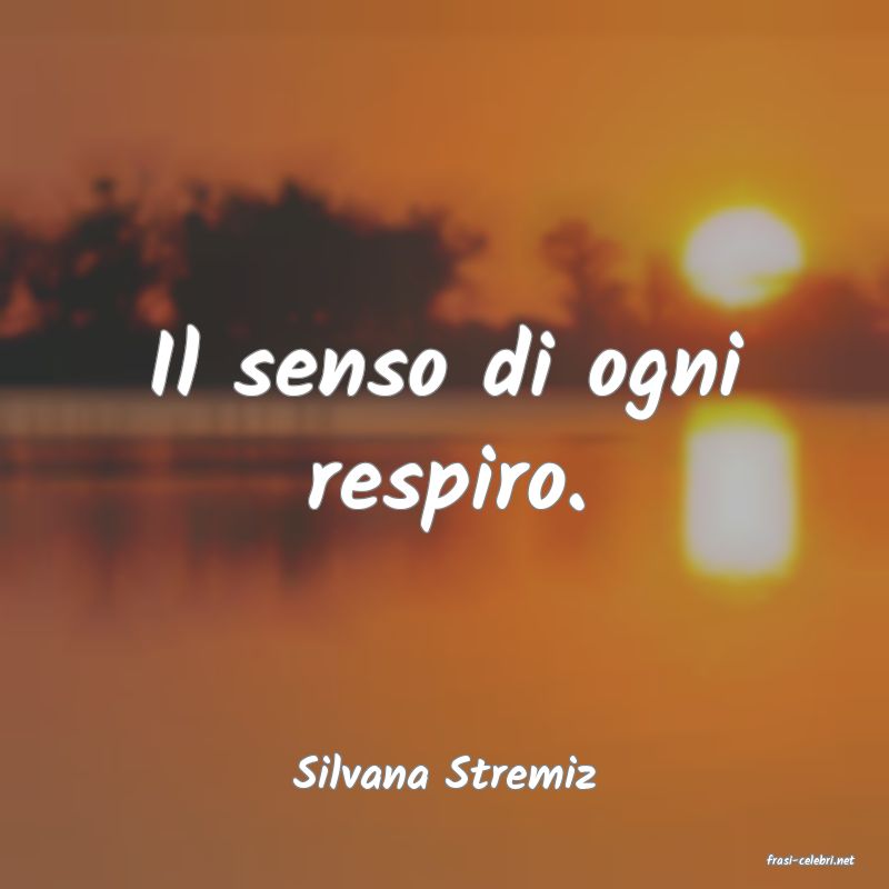 frasi di  Silvana Stremiz
