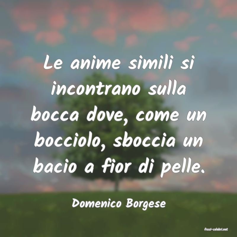 frasi di  Domenico Borgese
