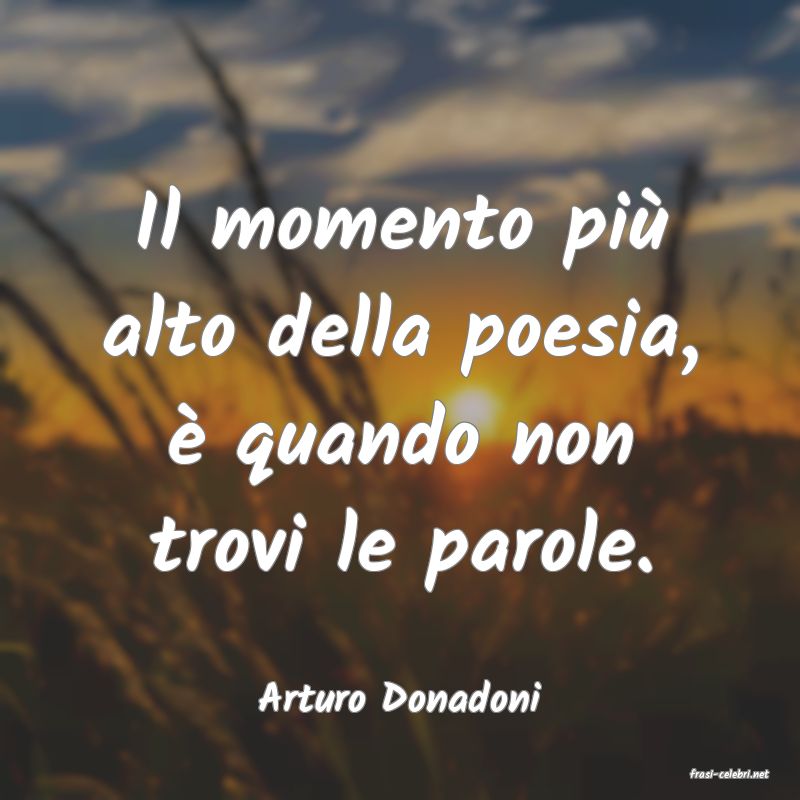 frasi di  Arturo Donadoni
