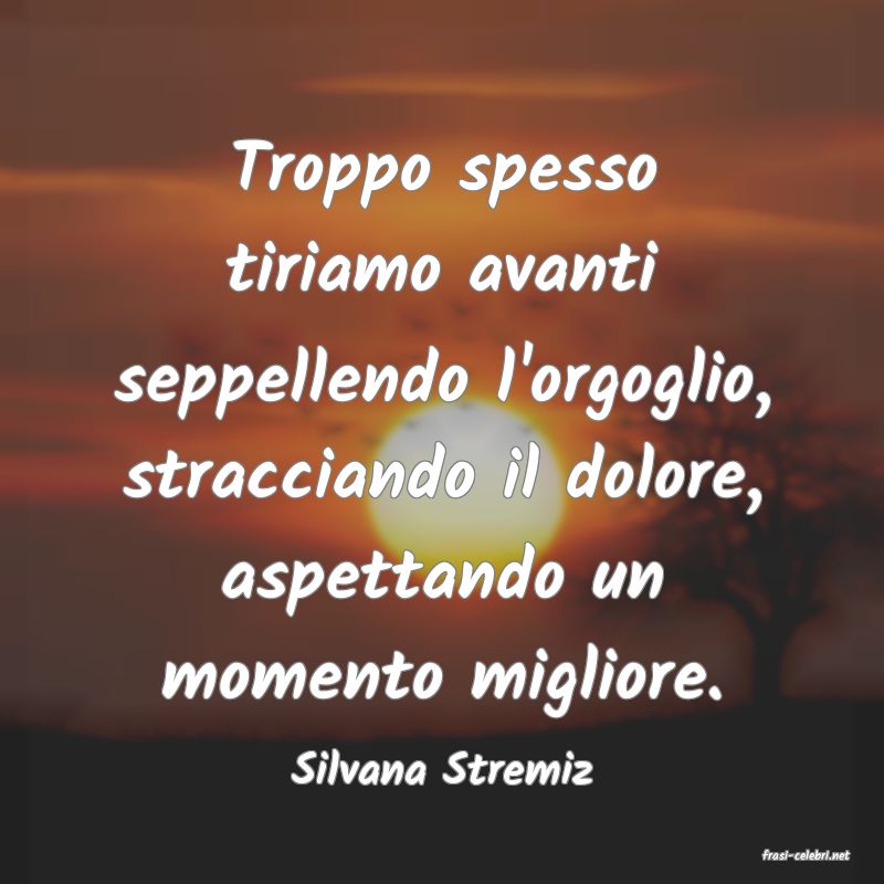 frasi di  Silvana Stremiz
