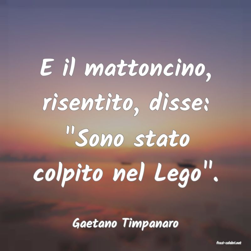frasi di Gaetano Timpanaro