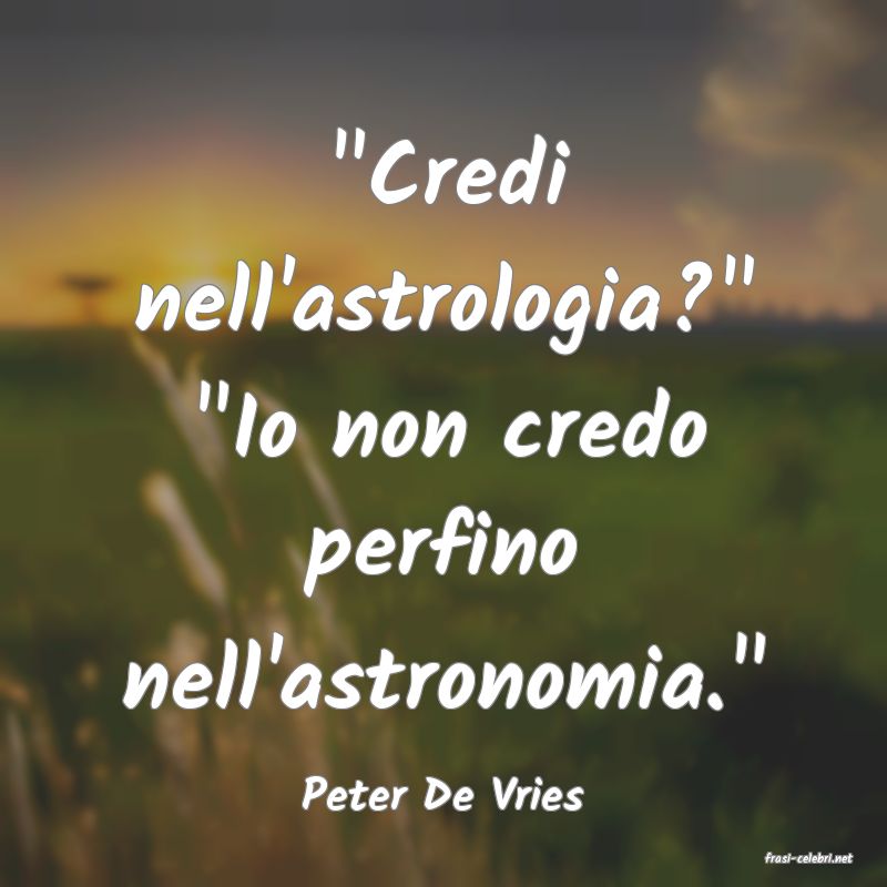 frasi di Peter De Vries
