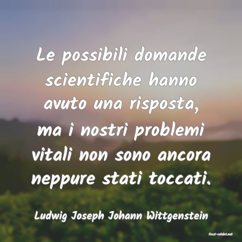 frasi di Ludwig Joseph Johann Wittgenstein