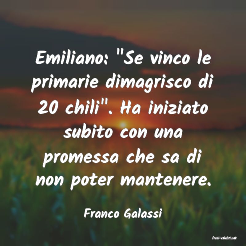 frasi di  Franco Galassi
