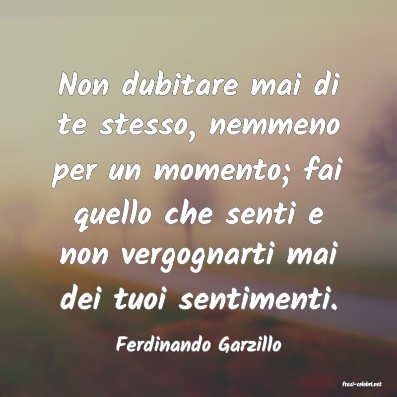 frasi di  Ferdinando Garzillo

