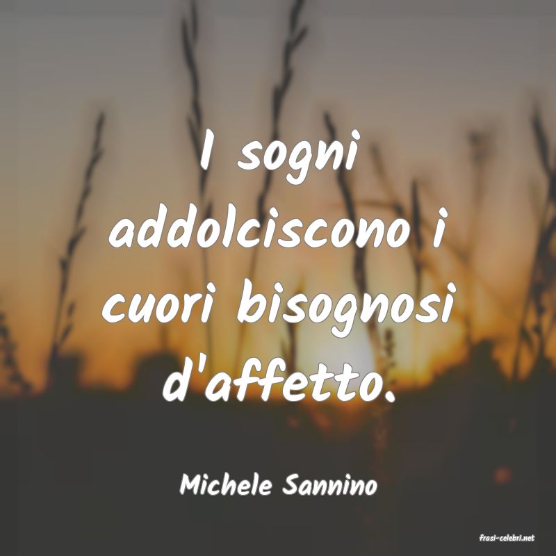 frasi di  Michele Sannino
