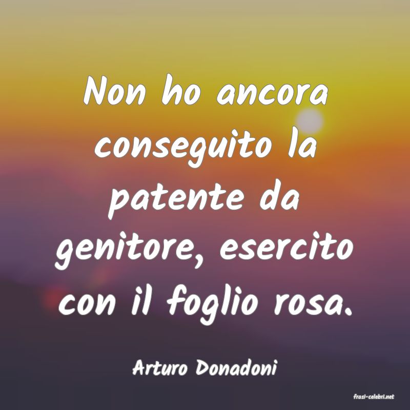 frasi di Arturo Donadoni