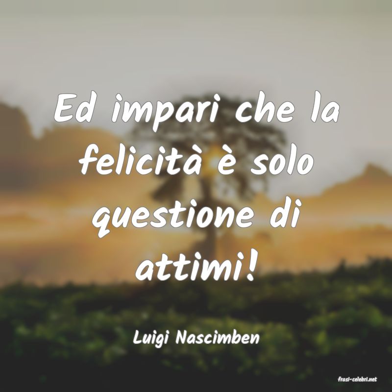 frasi di  Luigi Nascimben
