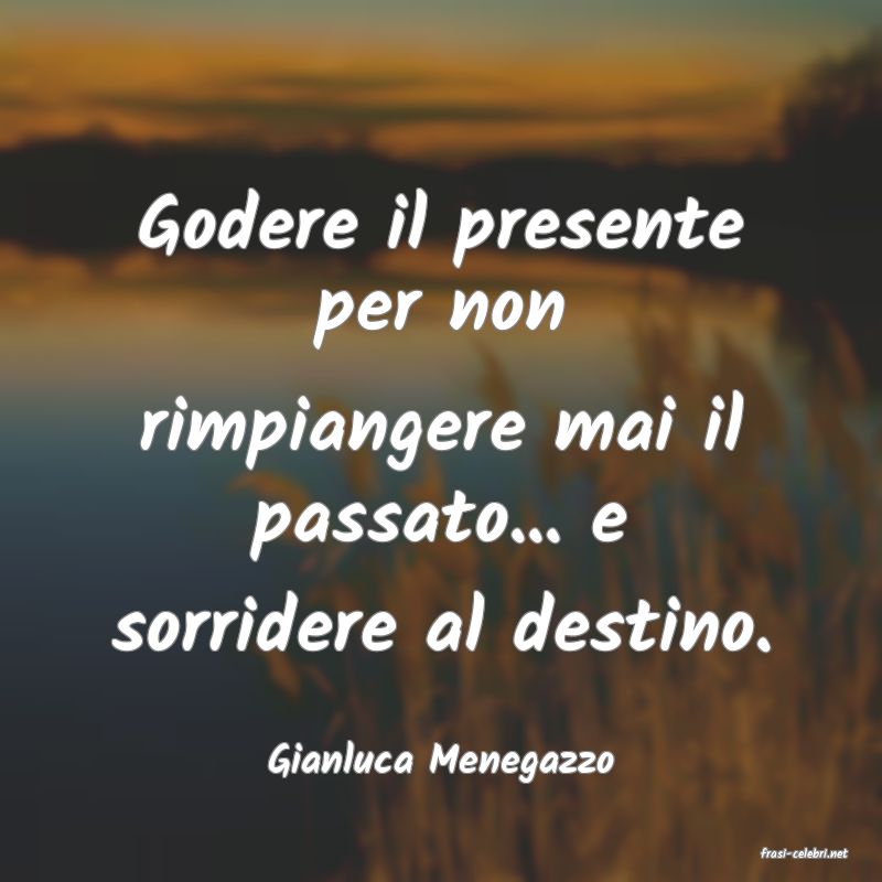 frasi di  Gianluca Menegazzo
