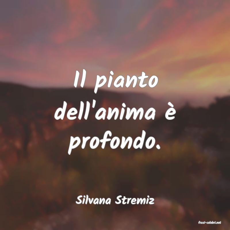 frasi di  Silvana Stremiz
