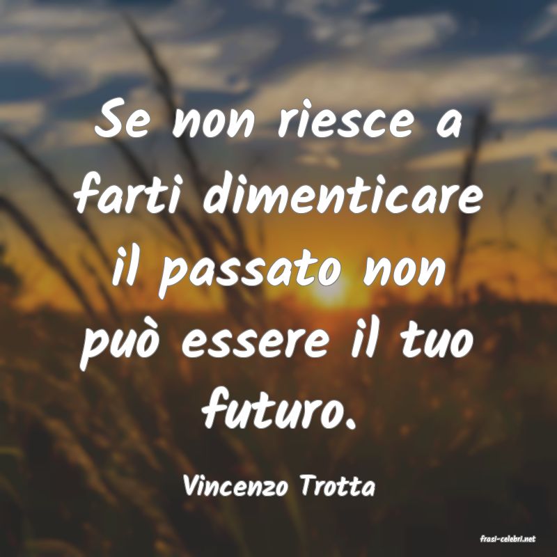 frasi di  Vincenzo Trotta

