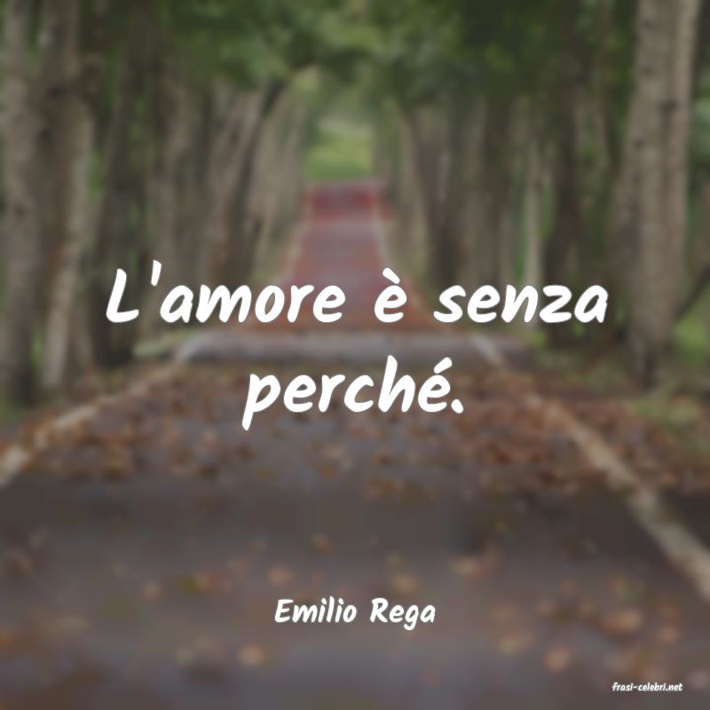 frasi di  Emilio Rega
