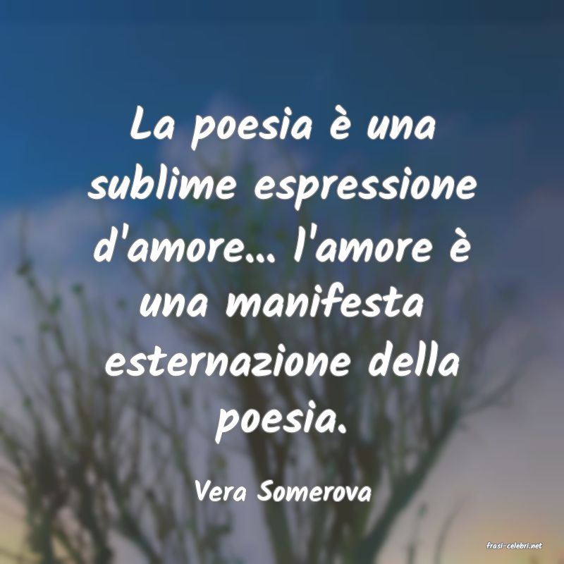 frasi di  Vera Somerova
