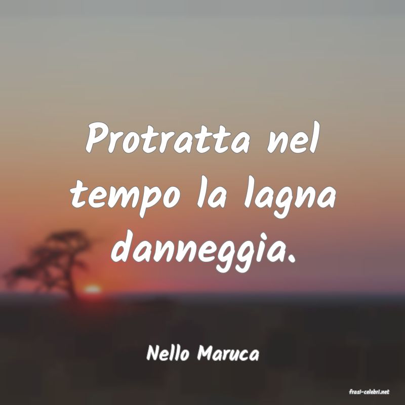 frasi di  Nello Maruca
