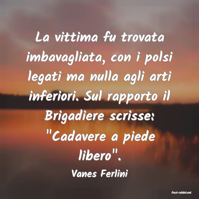 frasi di  Vanes Ferlini
