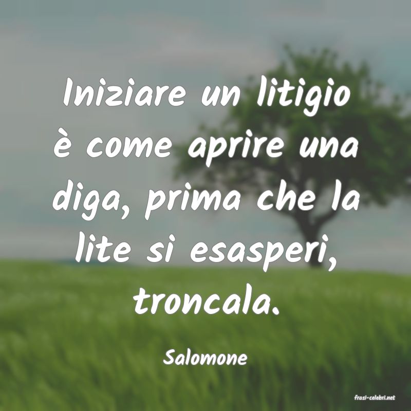frasi di  Salomone
