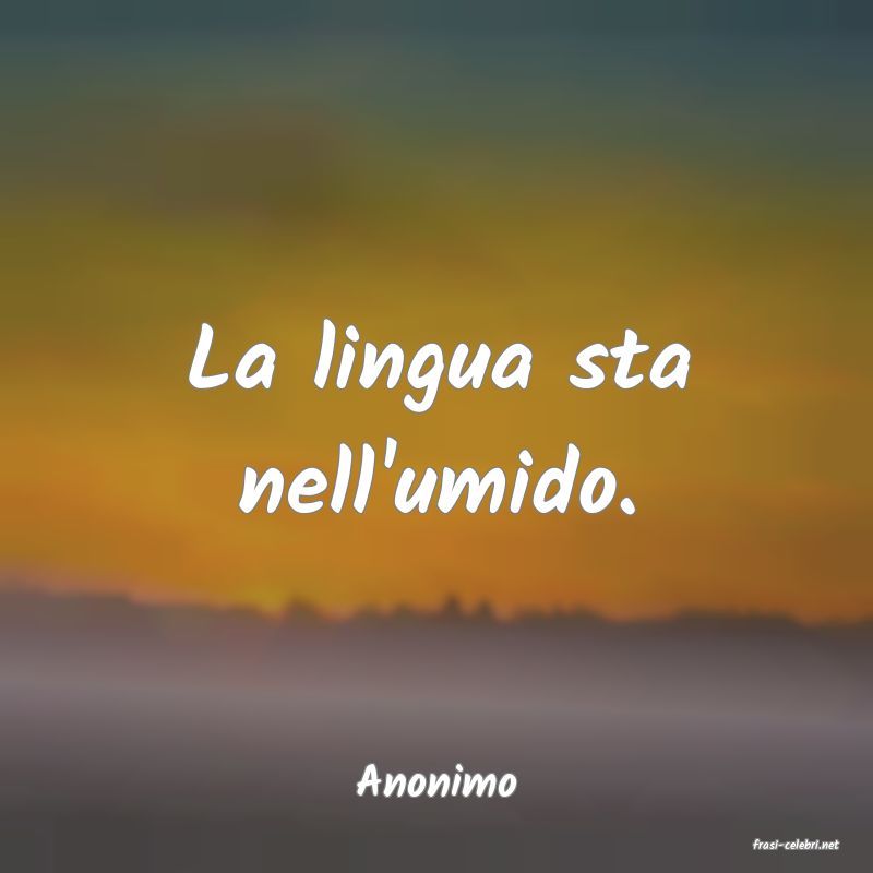 frasi di Anonimo