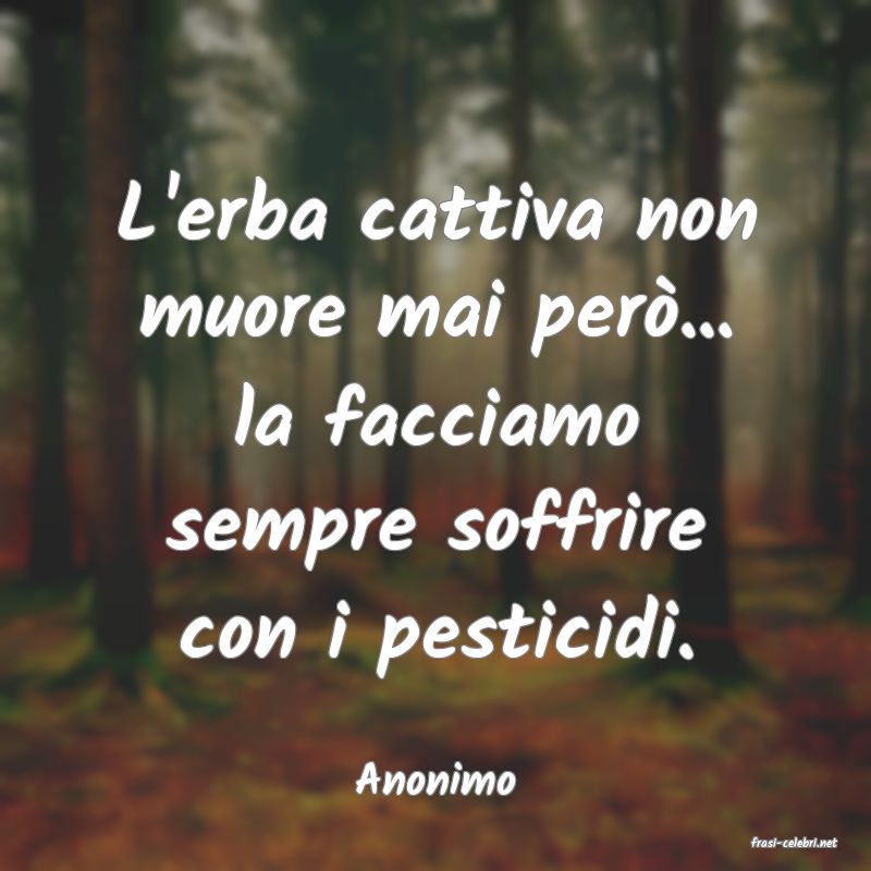 frasi di Anonimo