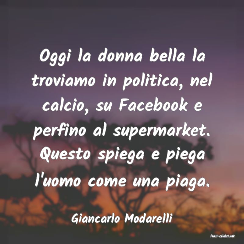 frasi di Giancarlo Modarelli