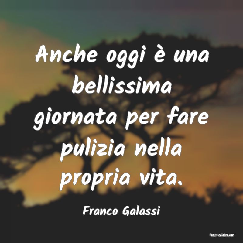 frasi di  Franco Galassi
