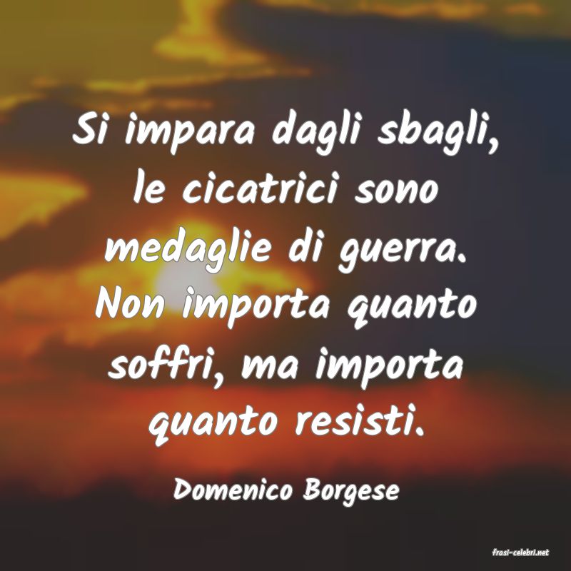 frasi di  Domenico Borgese
