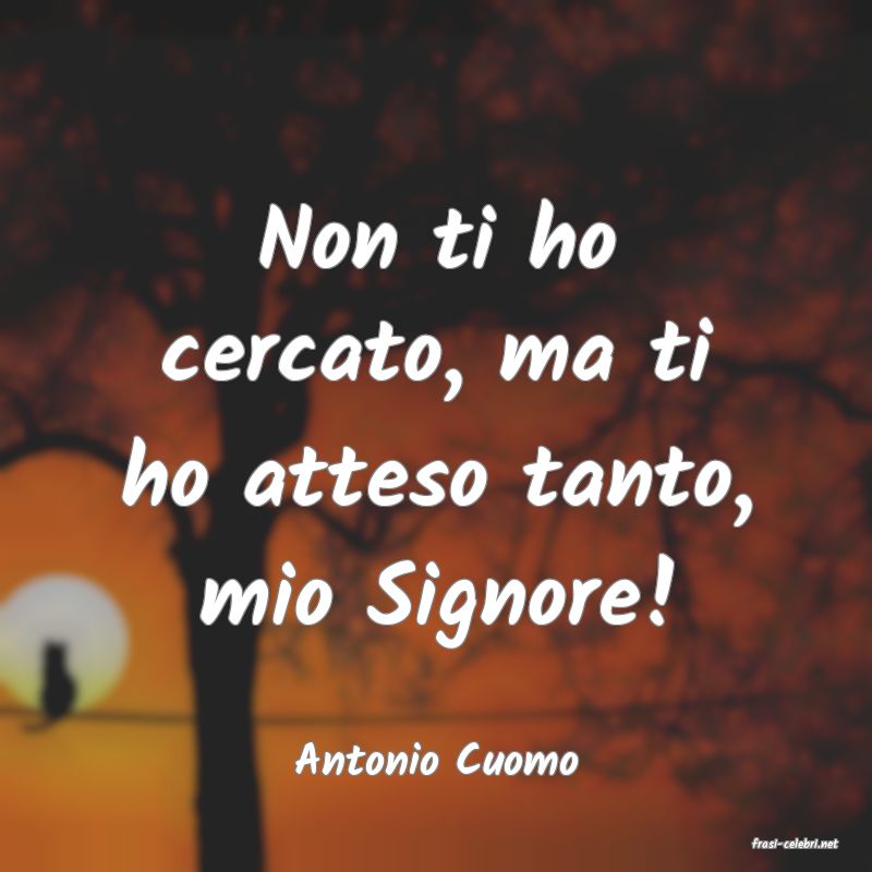 frasi di  Antonio Cuomo
