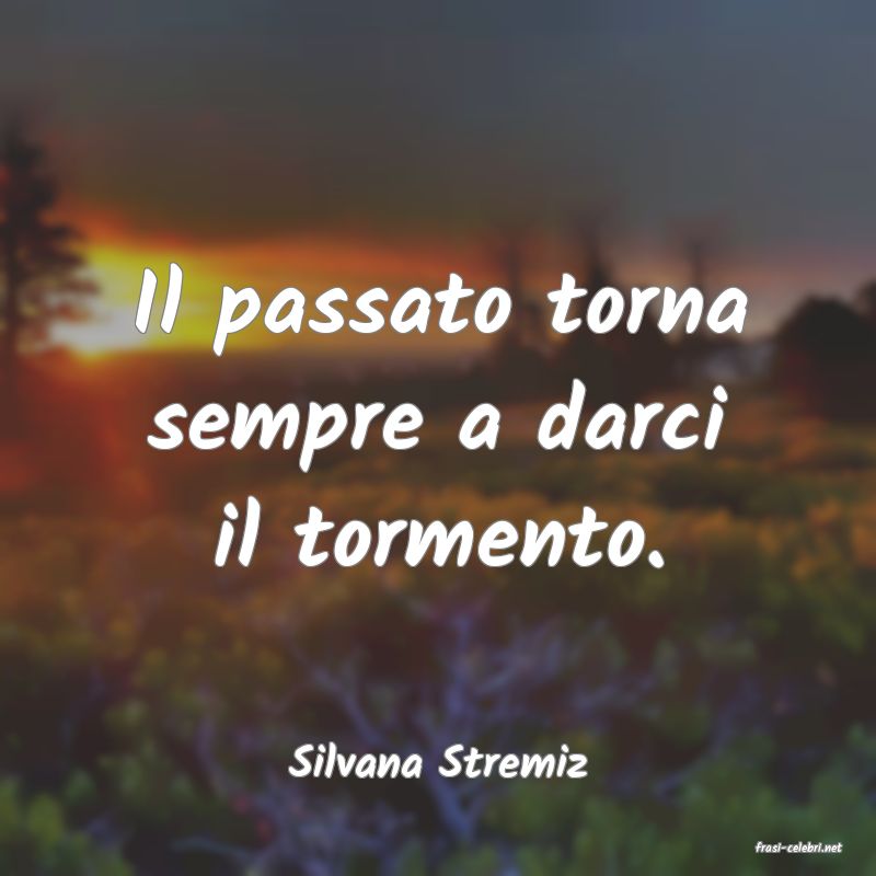 frasi di  Silvana Stremiz

