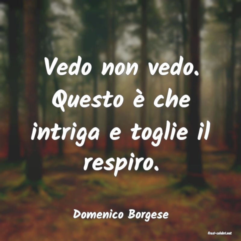 frasi di Domenico Borgese