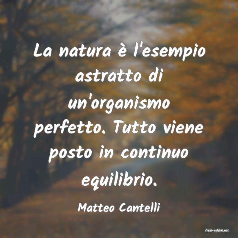 frasi di  Matteo Cantelli
