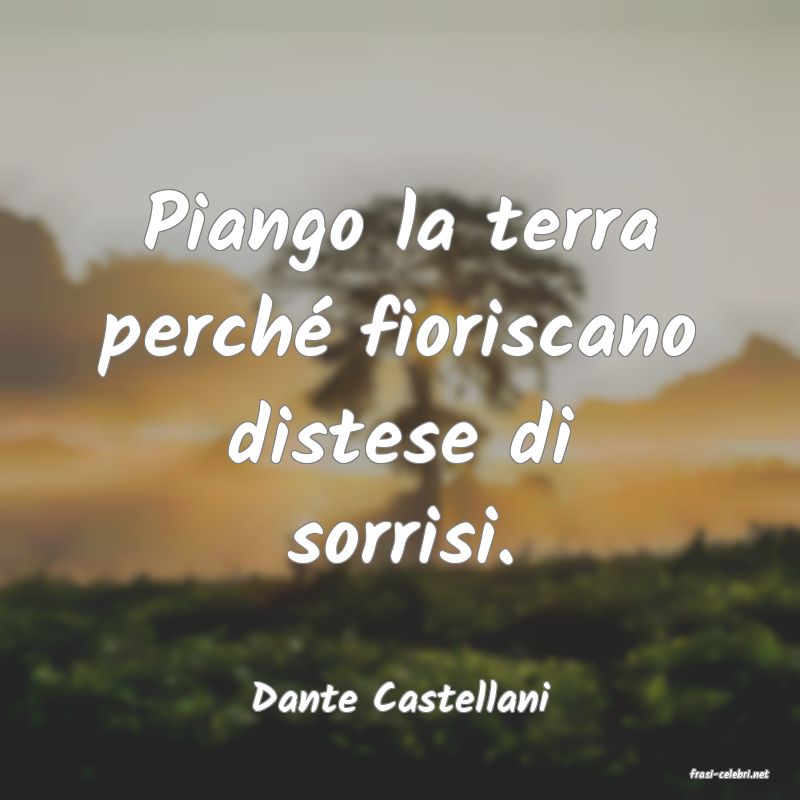 frasi di  Dante Castellani
