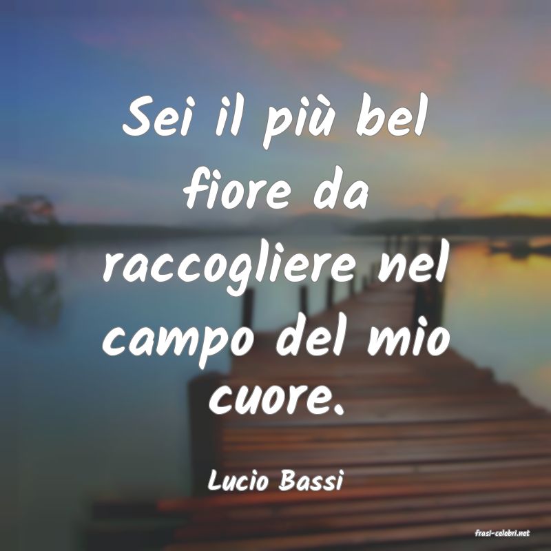frasi di  Lucio Bassi
