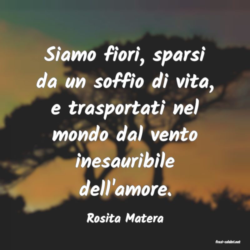 frasi di  Rosita Matera
