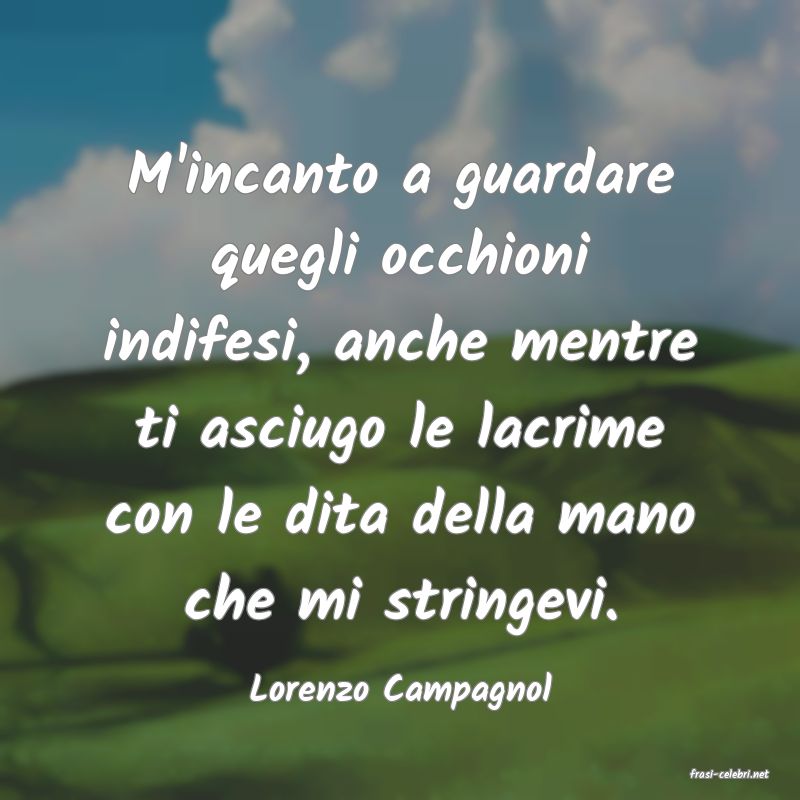 frasi di  Lorenzo Campagnol
