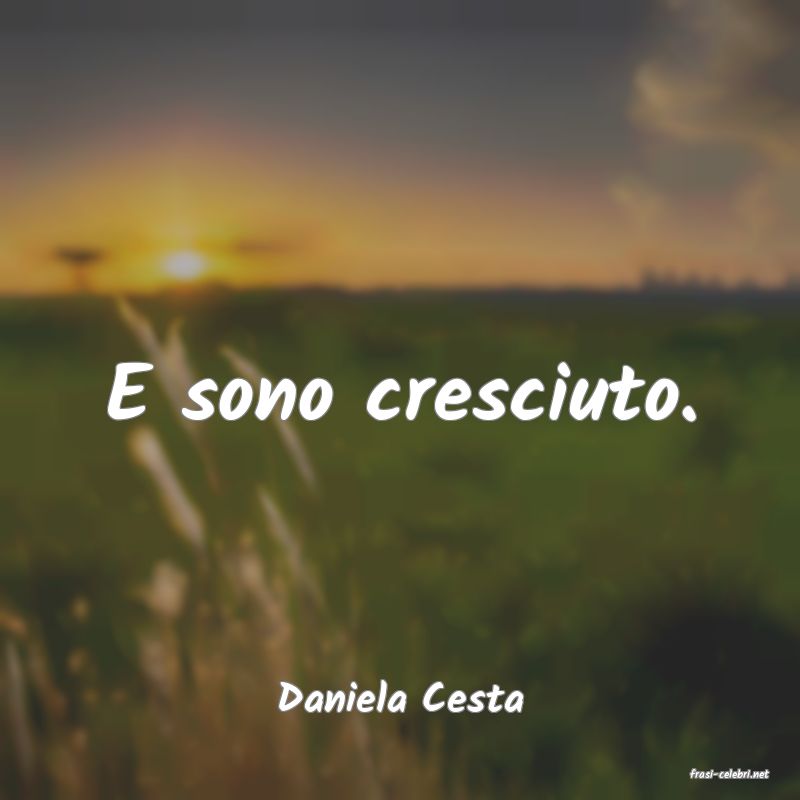 frasi di  Daniela Cesta
