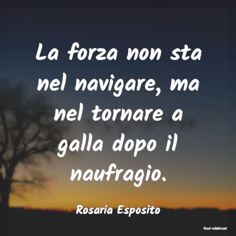 frasi di Rosaria Esposito