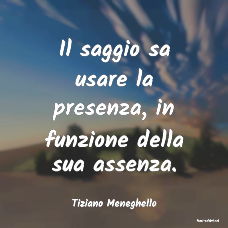 frasi di Tiziano Meneghello