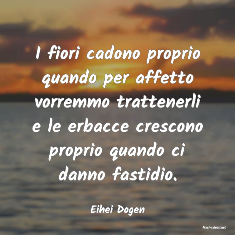 frasi di Eihei Dogen