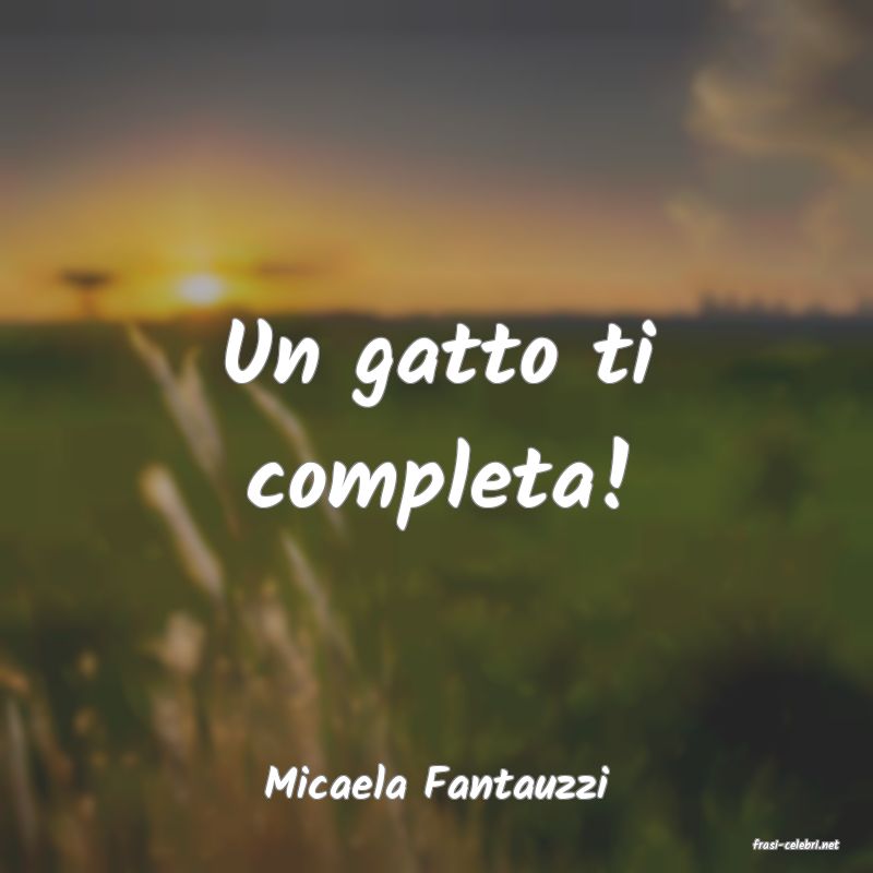 frasi di Micaela Fantauzzi