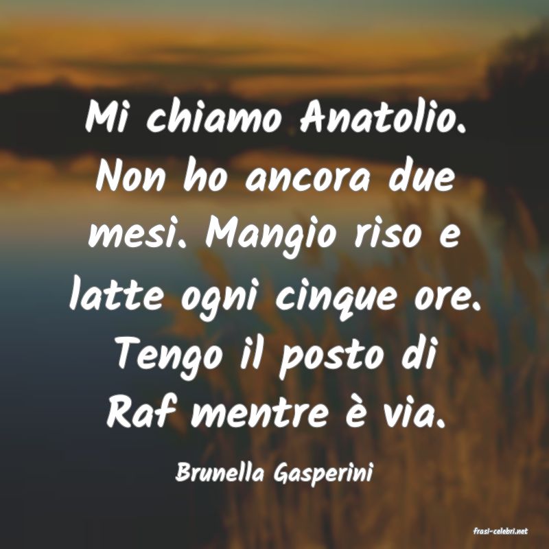 frasi di  Brunella Gasperini
