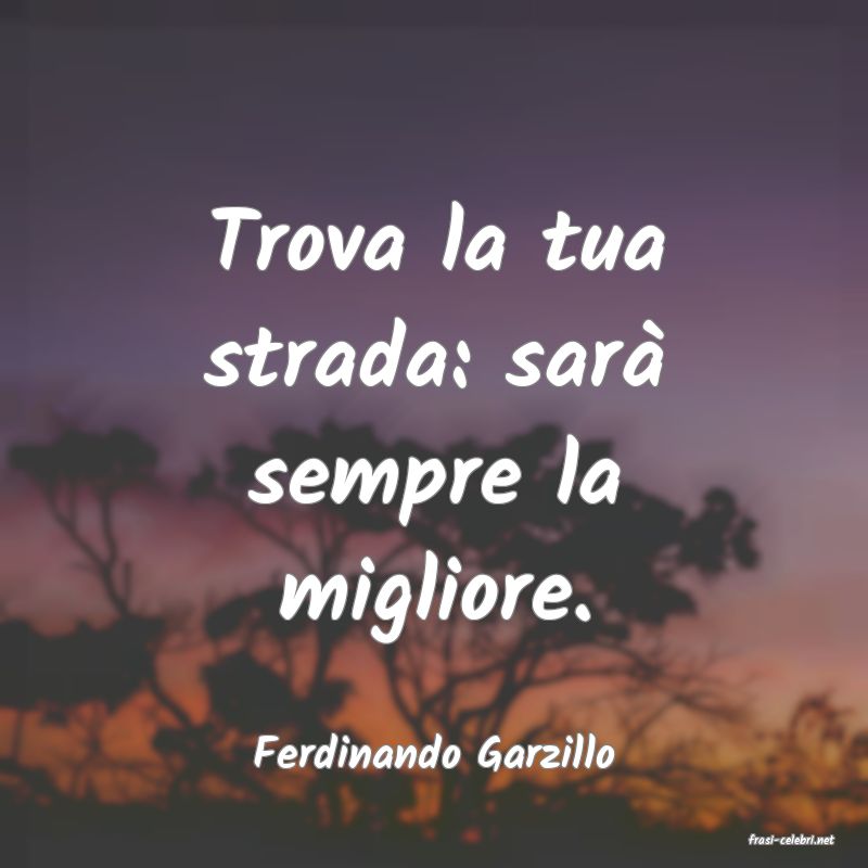 frasi di  Ferdinando Garzillo
