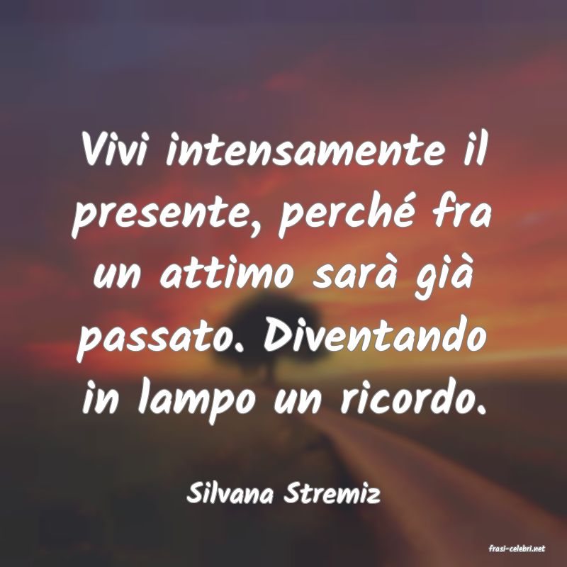 frasi di  Silvana Stremiz
