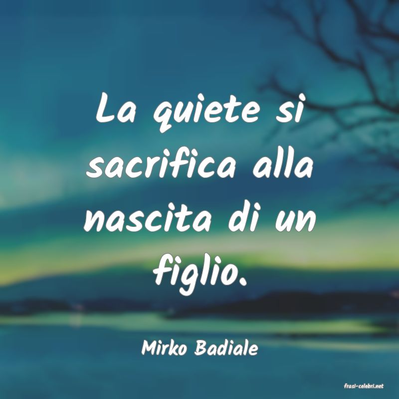 frasi di  Mirko Badiale
